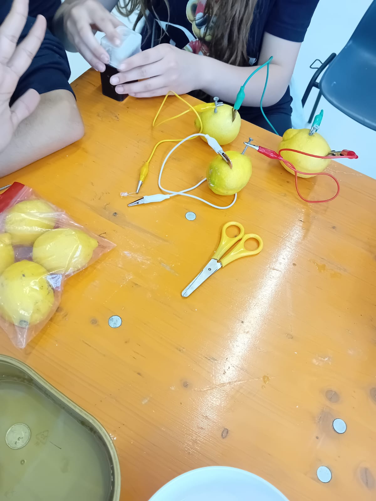 Festival scienza 25-3